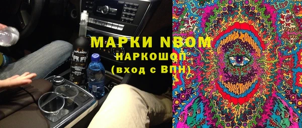 хмурый Белокуриха