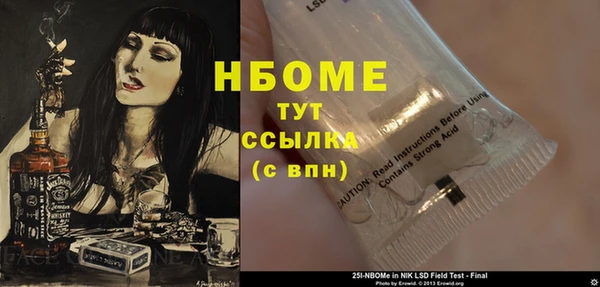 хмурый Белокуриха