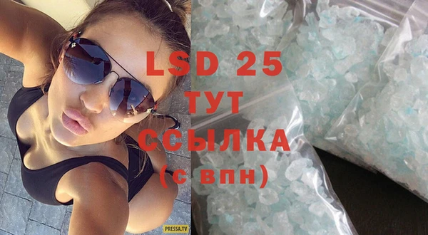 хмурый Белокуриха
