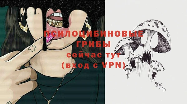 хмурый Белокуриха