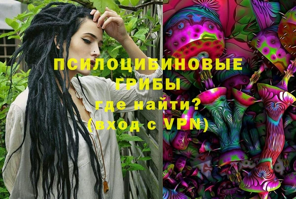 крисы Белоозёрский