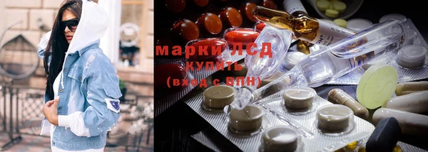хмурый Белокуриха